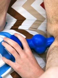 Evening Twinky Toy Play.
