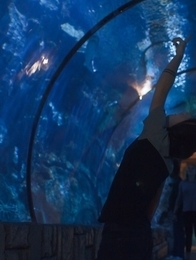 Dickin'	 of the Sea. Blake Mitchell and Cole Claire.